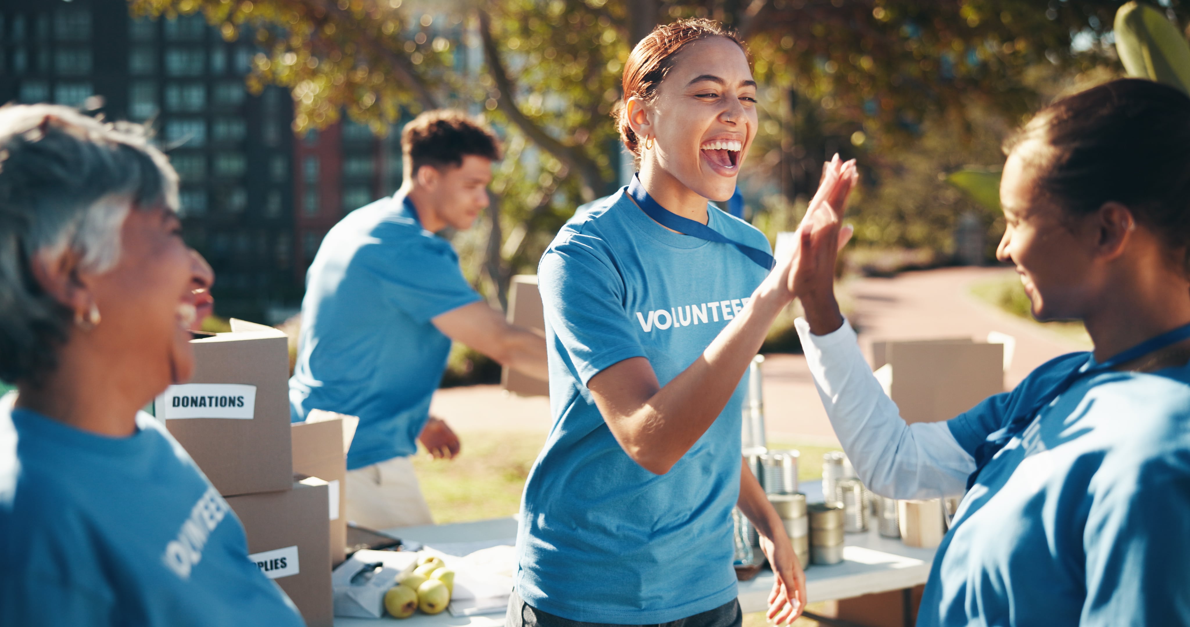 High five, volunteer and charity in teamwork for community service, project or nonprofit initiative. People, happiness and together with collaboration, outdoor and program for help, donations and NGO